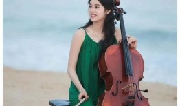 娱乐圈八卦爆料刘雯是谁,娱乐圈八卦中的时尚女王